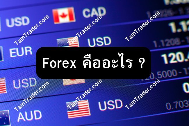 Forex คืออะไร ?