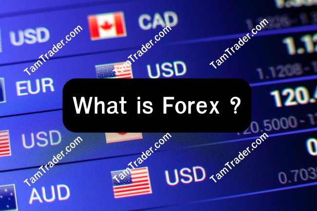What is Forex ?