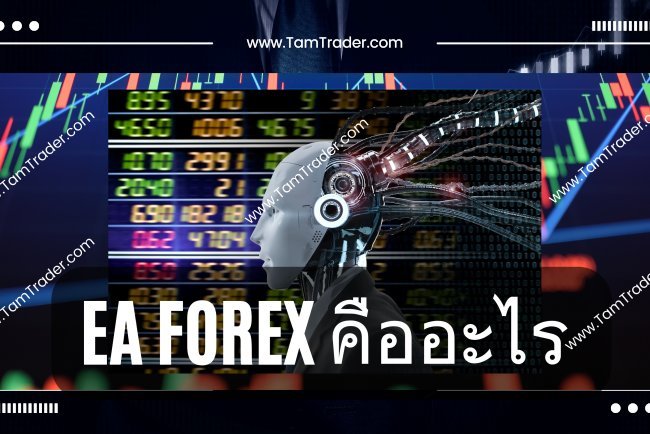 EA Forex คืออะไร ?