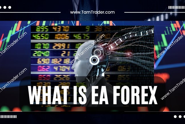 What is EA Forex ?