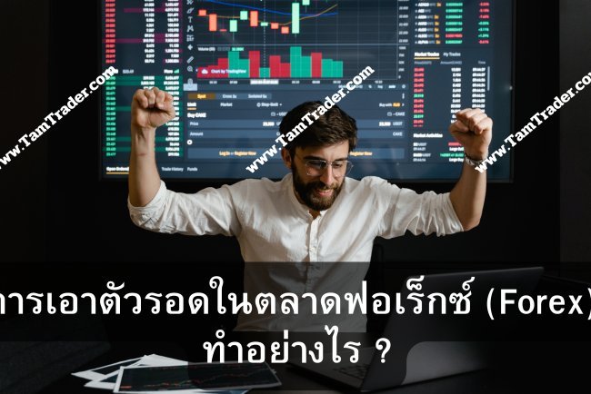 การเอาตัวรอดในตลาดฟอเร็กซ์ (Forex)