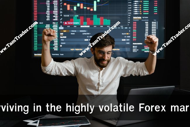 Surviving in Forex market