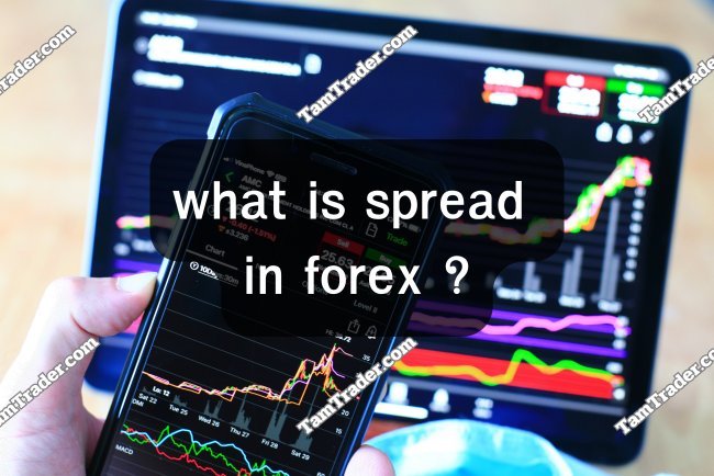 What is spread in forex ?