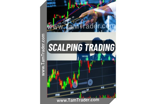 Bot Trading Forex. Scalping Trading