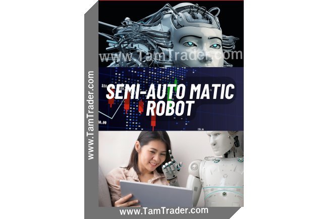 Semi-Automatic Robot. Forex Trading Robot