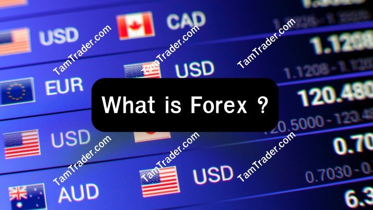 What is Forex ?