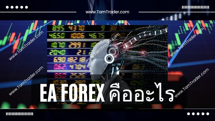EA Forex คืออะไร ?