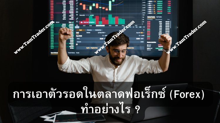 การเอาตัวรอดในตลาดฟอเร็กซ์ (Forex)