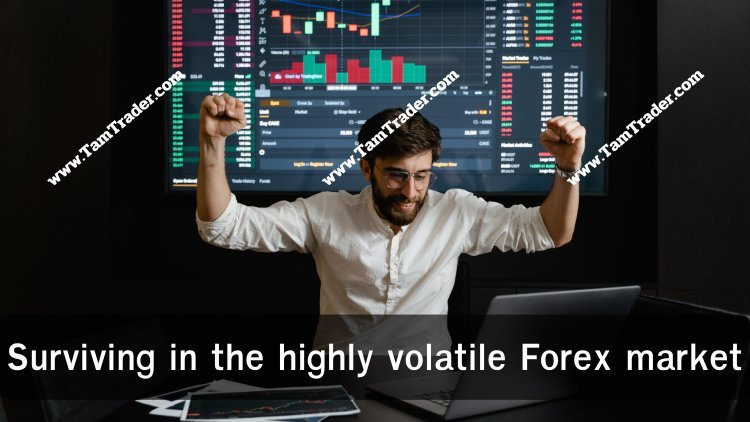 Surviving in Forex market