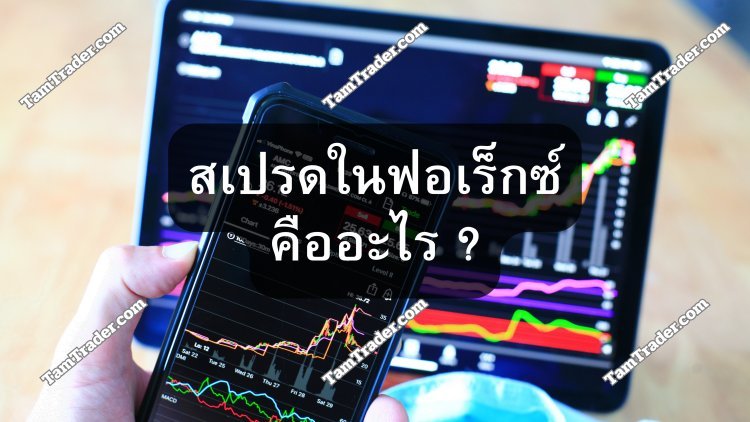 สเปรด (Spread) ในตลาด Forex คืออะไร ?