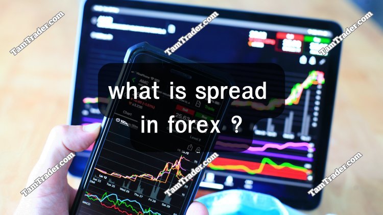 What is spread in forex ?