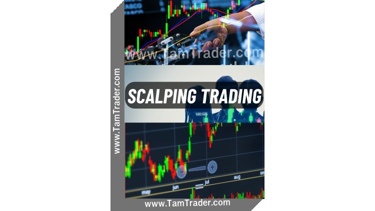 Bot Trading Forex. Scalping Trading