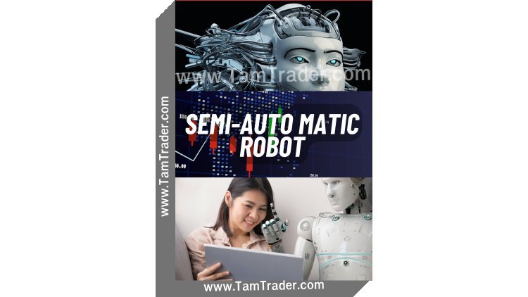 Semi-Automatic Robot. Forex Trading Robot